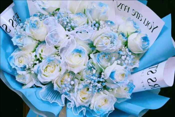 ���ݴ��ػ���